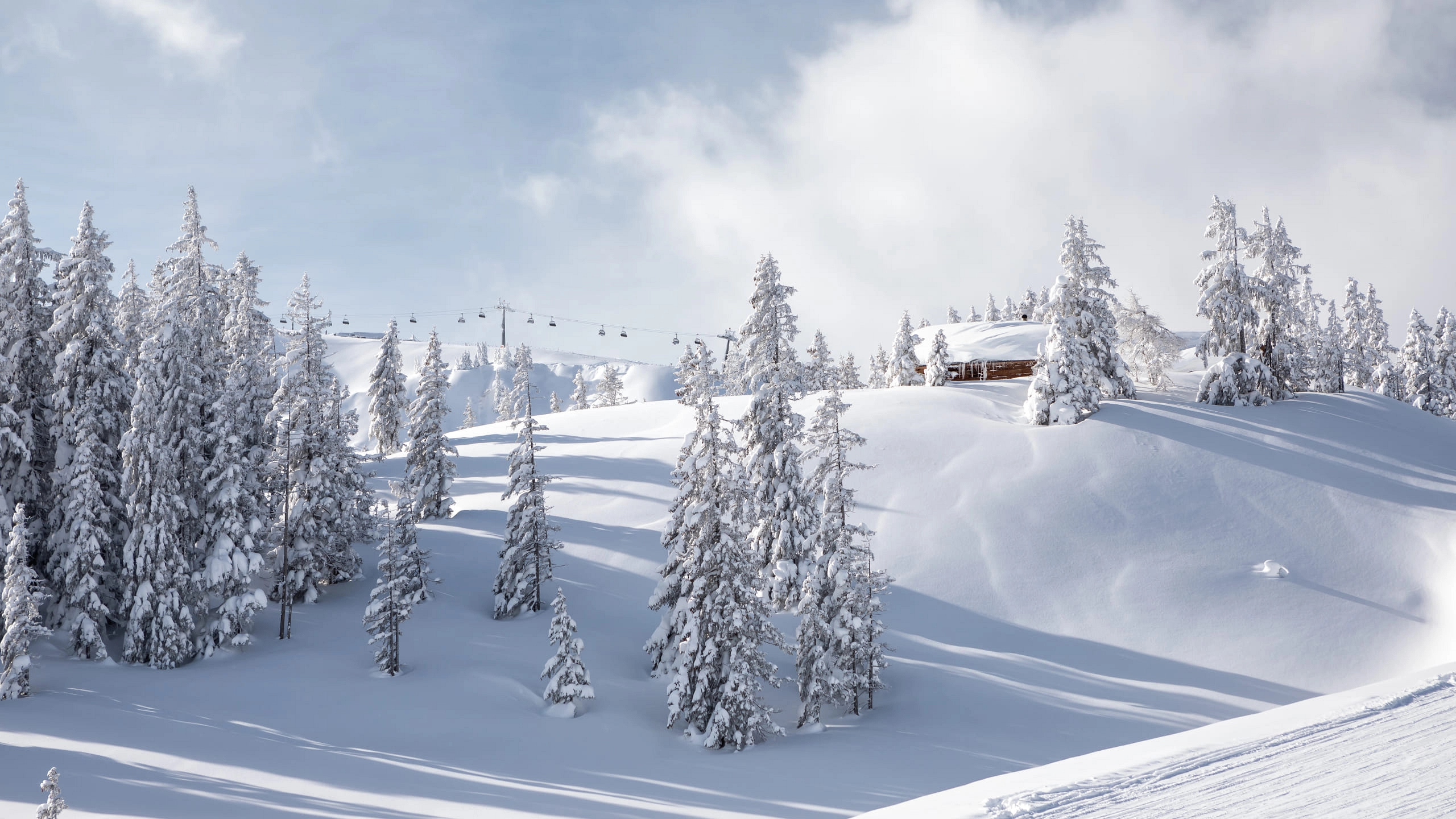 Winterlandschaft in Hinterglemm mit schneebedeckten Bäumen und Ausblick auf Hütten.